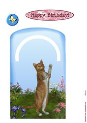 Cat and Butterfly