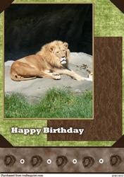 Lion Birthday