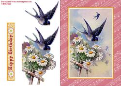 Bird and Daisy