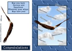 Graduation Eagle
