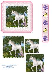 Unicorn and Lace