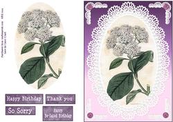 White Lilac