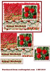 Red Tulips
