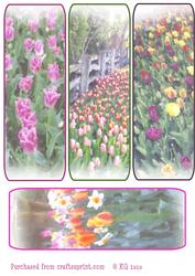 Watercolored Tulips