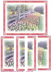 Watercolored Fence and Tulips
