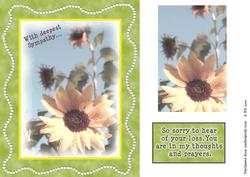 Sunflower Sympathy