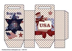 Fourth of July Bag