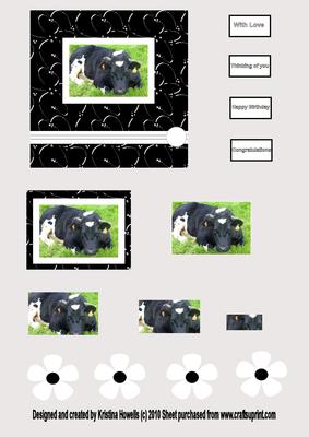 Black and White Cow
