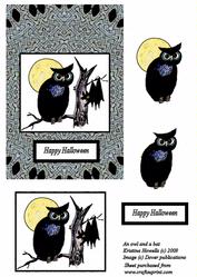 Owl and a Bat