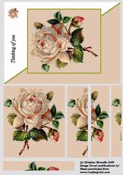 The Rose