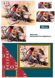 Birds