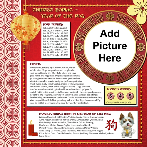 Chinese Zodiac - Year of the Dog