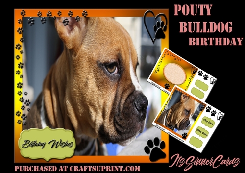 Pouty Bulldog Birthday