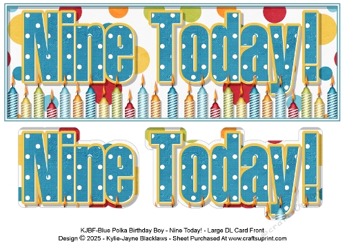 Blue Polka - Nine Today! - Large DL 3D Decoupage Card