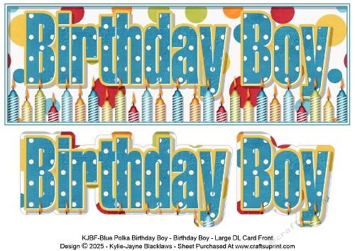 Blue Polka - Birthday Boy - Large DL 3D Decoupage Card