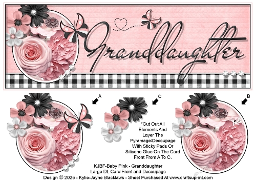 Baby Pink - Granddaughter - Large DL 3D Decoupage Card