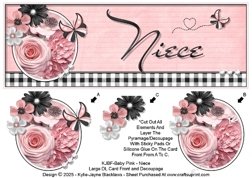 Baby Pink - Niece - Large DL 3D Decoupage Card