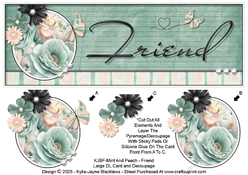 Mint And Peach - Friend - Large DL 3D Decoupage Card