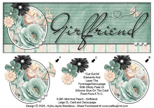 Mint And Peach - Girlfriend - Large DL 3D Decoupage Card