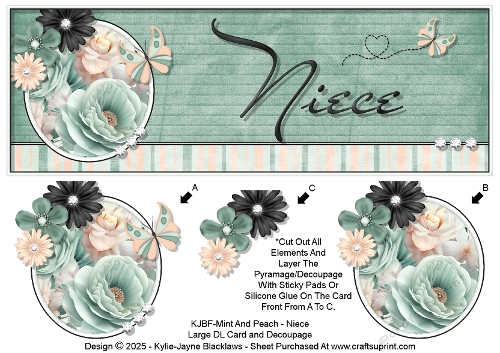 Mint And Peach - Niece - Large DL 3D Decoupage Card