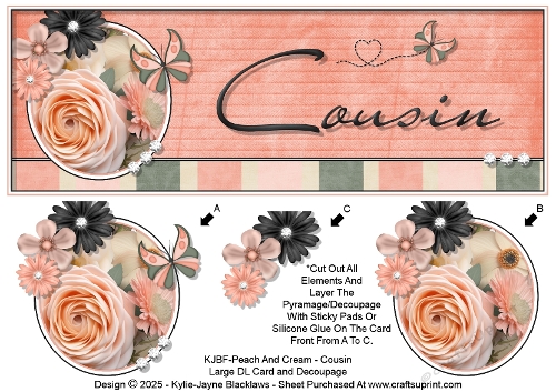 Peach And Cream - Cousin - Large DL 3D Decoupage Card