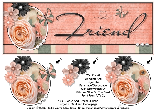 Peach And Cream - Friend - Large DL 3D Decoupage Card