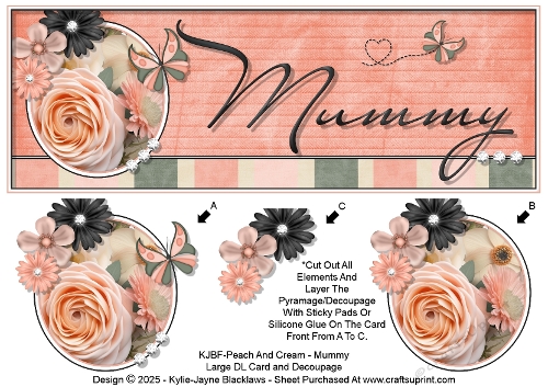 Peach And Cream - Mummy - Large DL 3D Decoupage Card