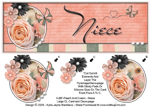 Peach And Cream - Niece - Large DL 3D Decoupage Card