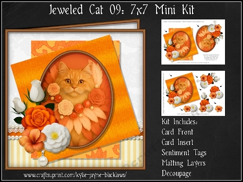 cup1380148_1050 - Jeweled Cat 09 - Red Maine Coon Kitten - Decoupage Mini Kit