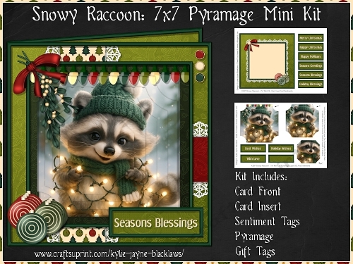 Snowy Raccoon - 7x7 Pyramage Mini Kit