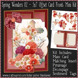Spring Wonders 02 - 5x7 Offset Front Card Mini Kit