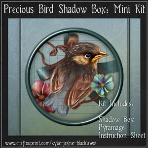 Precious Bird Shadow Box Mini Kit