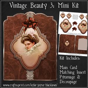 Vintage Beauty 3 Mini Kit