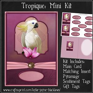Tropique Pyramage Mini Kit
