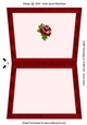 Handbag A-13 - Card Insert