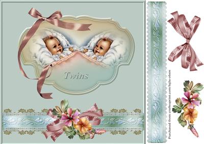 New Baby Twins