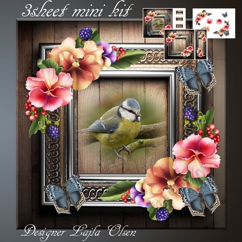 Pansies,bird and butterflies