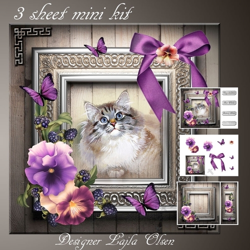 Pansies and a  grey cat