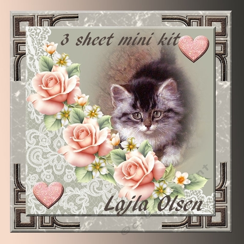 Vintage cat with pink roses