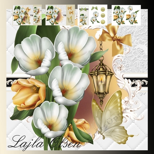 white and yellow tulip