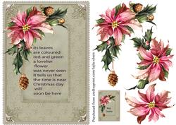 Poinsettia Cardfront