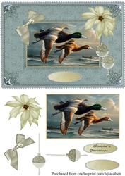 Flying Ducks Vintage Cardfront