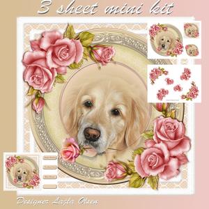 Golden and Pink Roses