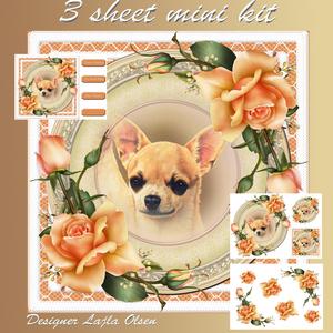 Chihuahua