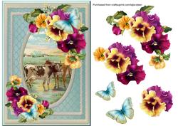 Cows and Pansies