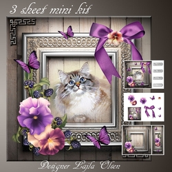 Pansies and a grey cat