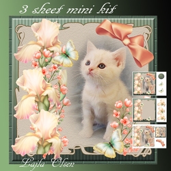 Kitty