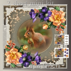 Squirrel