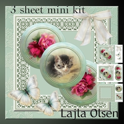 Red roses,cat and butterflies