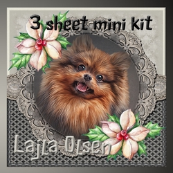 Pomeranian